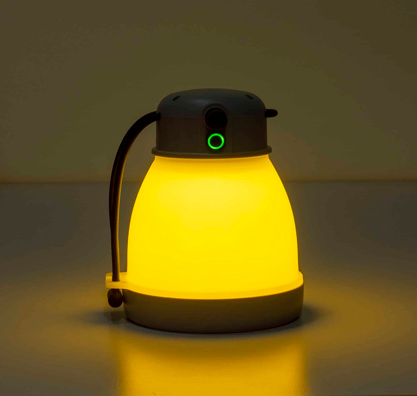 Felinar, 5 moduri de intensitate a luminii, putere 10W, gri / ZTS 8218