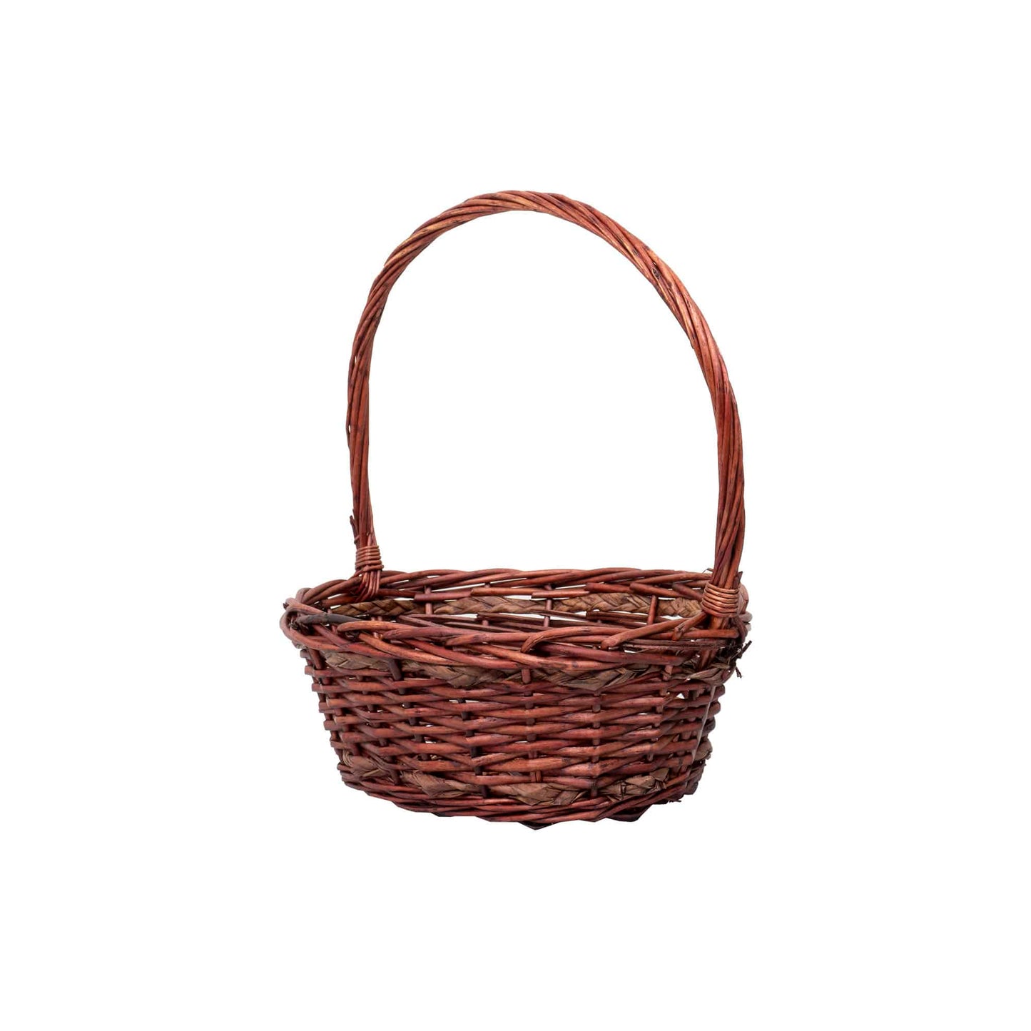 Set 6 cosuri de rachita ovale, maro lucios  / ZTS 8436