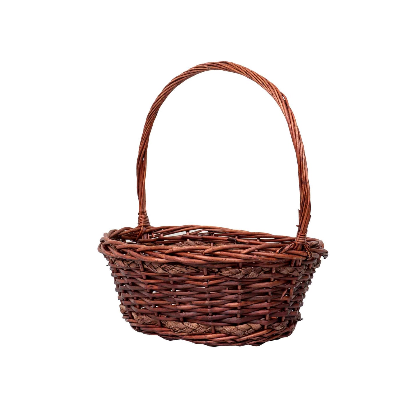 Set 6 cosuri de rachita ovale, maro lucios  / ZTS 8436