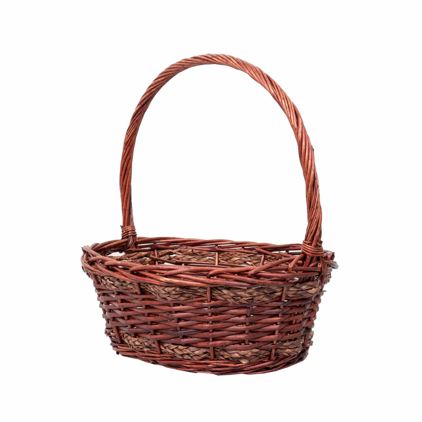 Set 6 cosuri de rachita ovale, maro lucios  / ZTS 8436