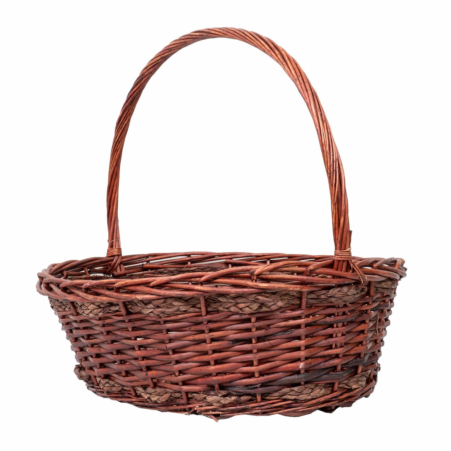 Set 6 cosuri de rachita ovale, maro lucios  / ZTS 8436