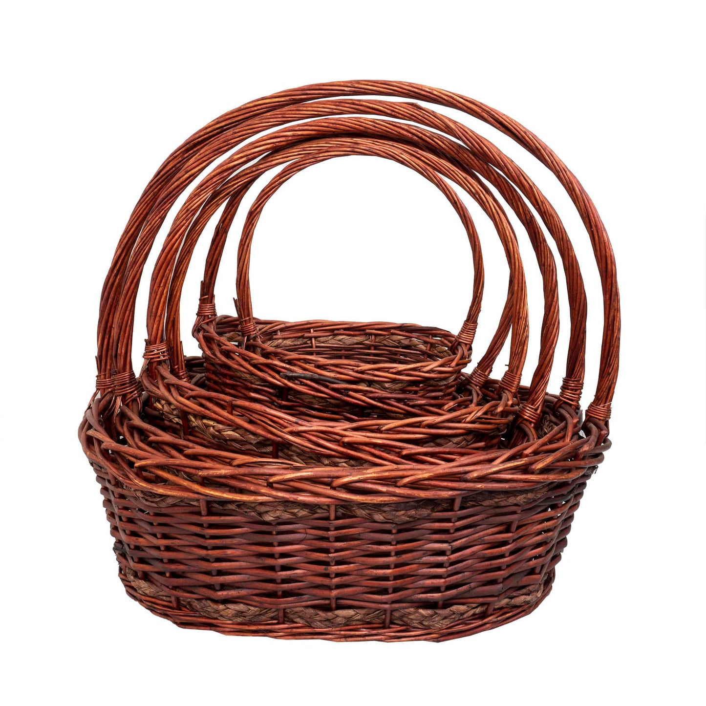 Set 6 cosuri de rachita ovale, maro lucios  / ZTS 8436