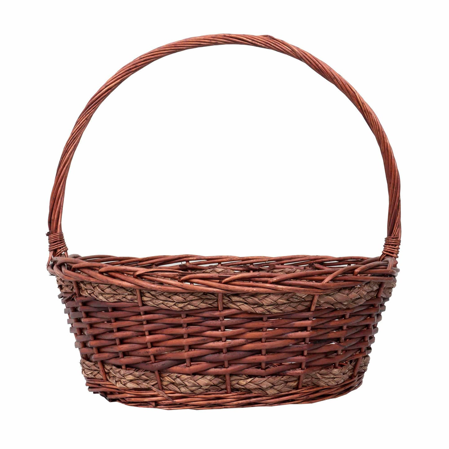 Set 6 cosuri de rachita ovale, maro lucios  / ZTS 8436