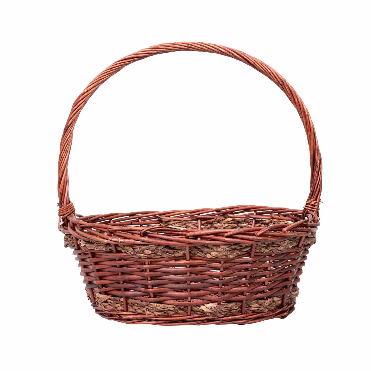 Set 6 cosuri de rachita ovale, maro lucios  / ZTS 8436