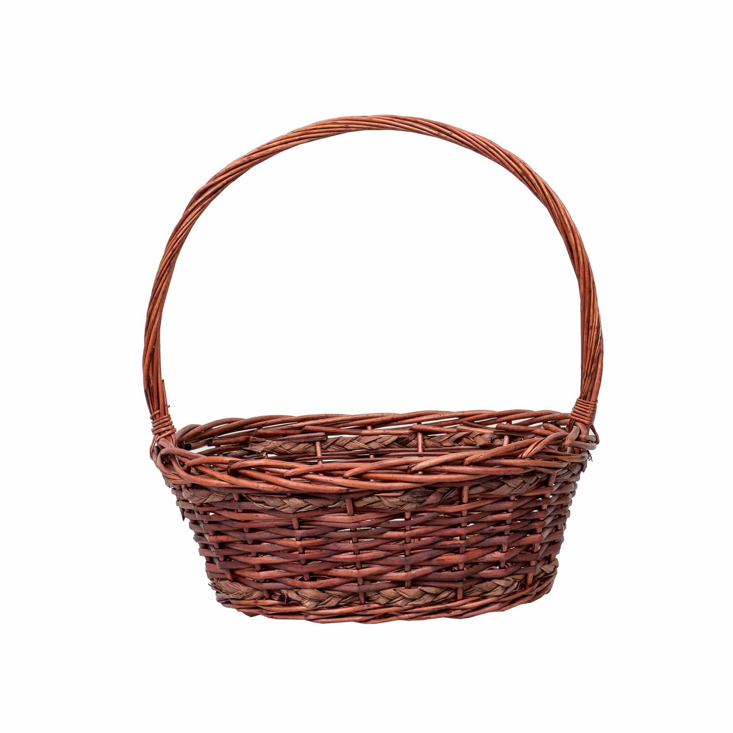 Set 6 cosuri de rachita ovale, maro lucios  / ZTS 8436