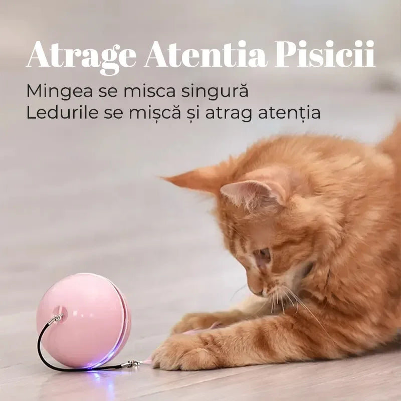 Jucarie Smart Ball Reincarcabila, cu accesoriu