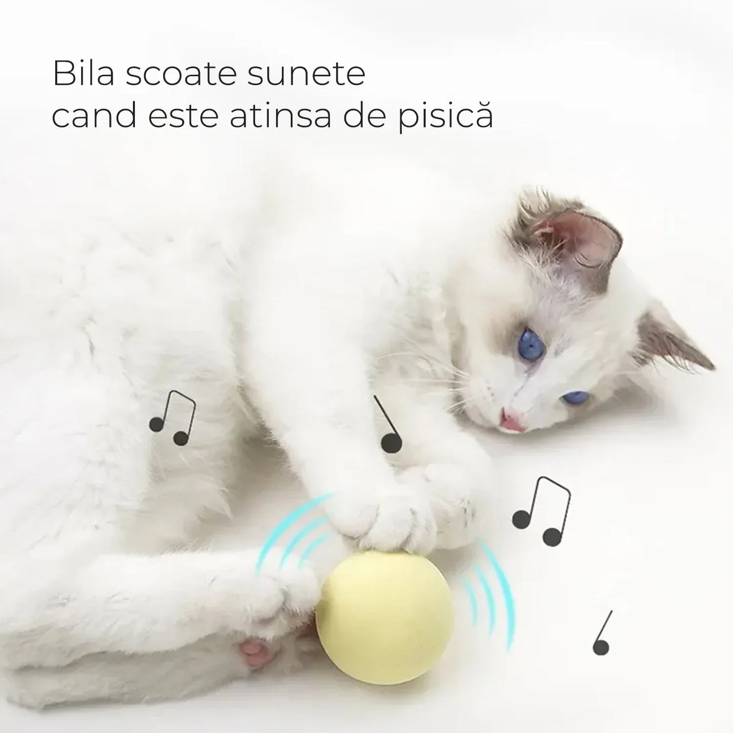 Jucarie care scoate Sunete si are lacas pentru Catnip