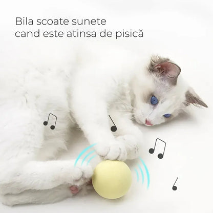Jucarie care scoate Sunete si are lacas pentru Catnip