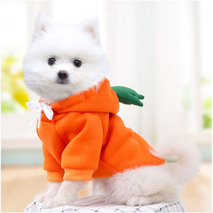 Haina pentru caine, tip Hanorac animale de companie, model Morcov - marimea M