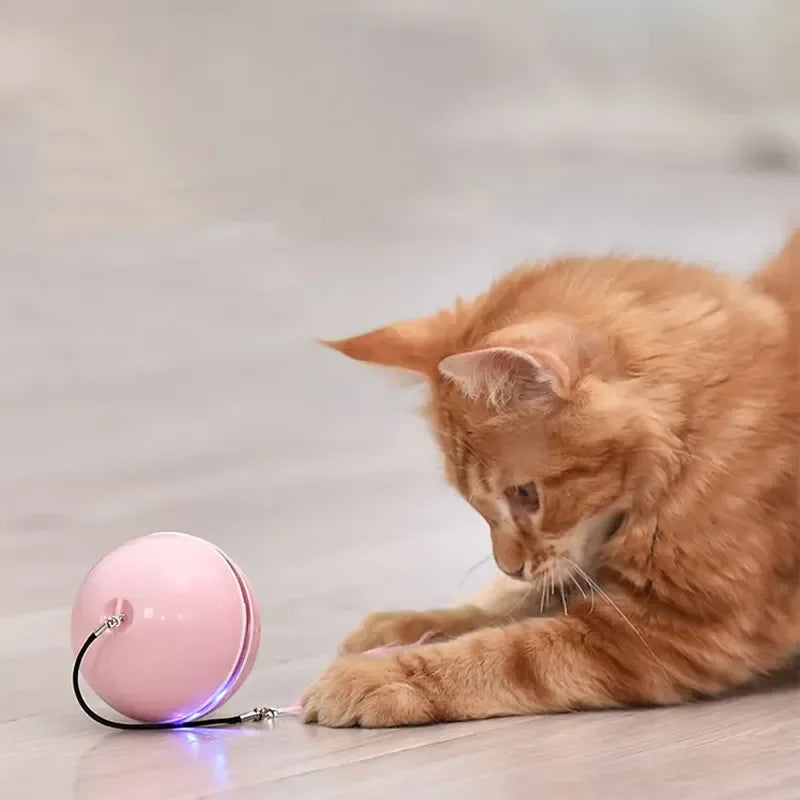 Jucarie Smart Ball Reincarcabila, cu accesoriu