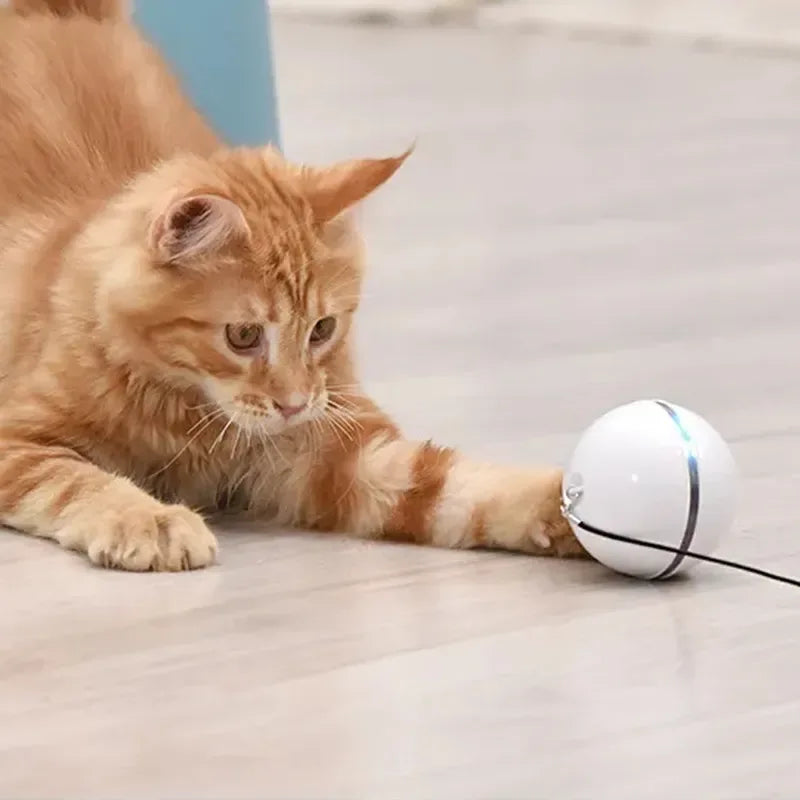 Jucarie Smart Ball Reincarcabila, cu accesoriu