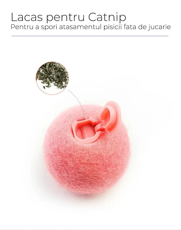 Jucarie care scoate Sunete si are lacas pentru Catnip