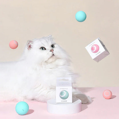 Jucarie Inteligenta Pet Gravity