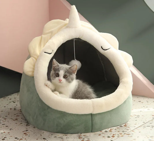 Patut Dragut pentru Pisicut