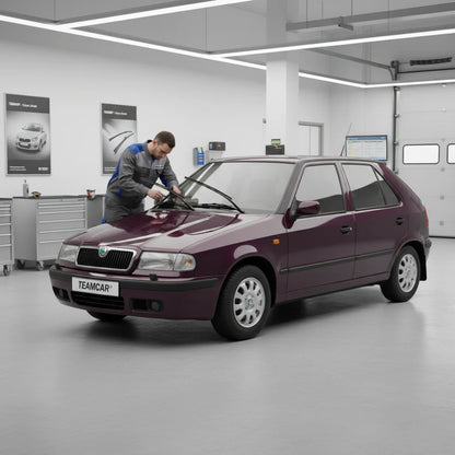 Ștergătoare Skoda Felicia II 6U1 1998-2001 | Set Față Flat – TeamCar®
