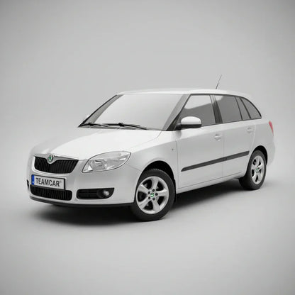 Covorașe Skoda Fabia II 2007-2014 | Silver Edition – TeamCar®