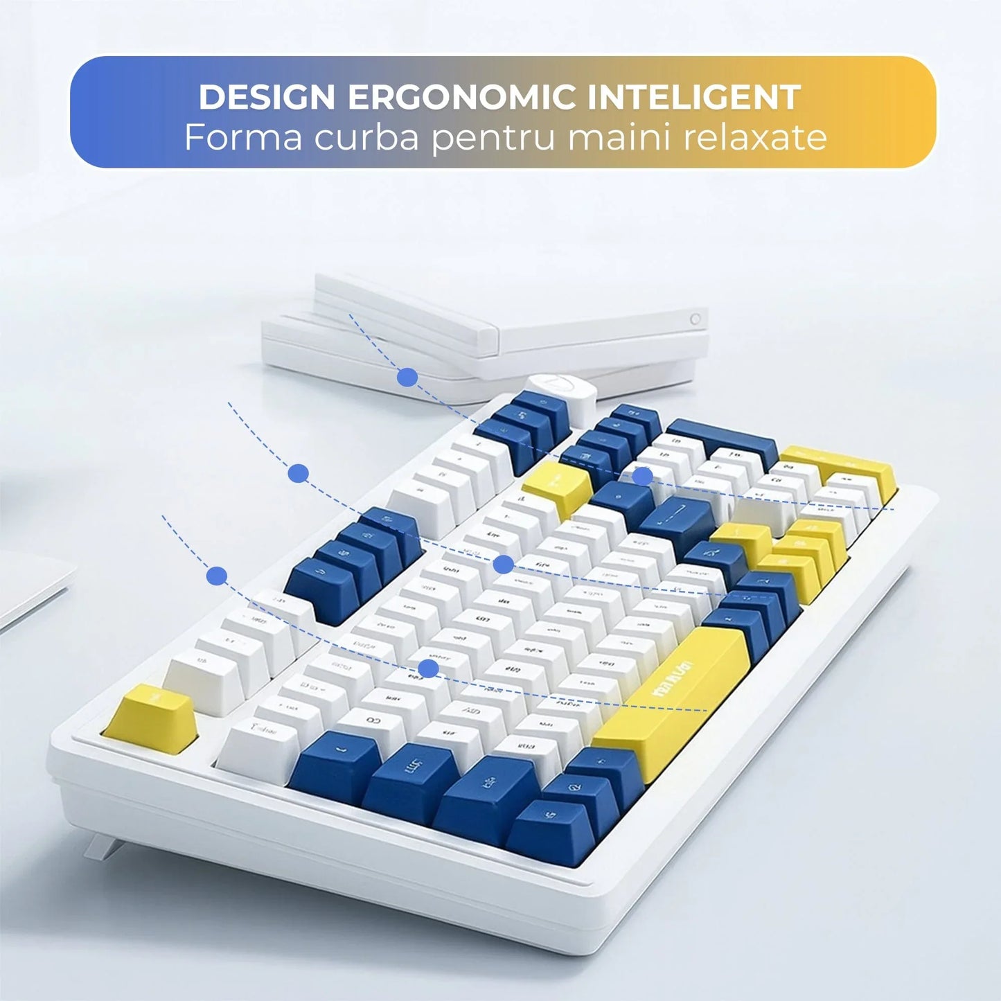 Tastatura cu fir Timebox, Iluminare RGB, Cablu 1,5 m, Plastic ABS, Suport gaming & office, Design slim, Compatibilitate Universala, Albastru/Galben - 221.ro